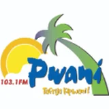 Pwani FM logo